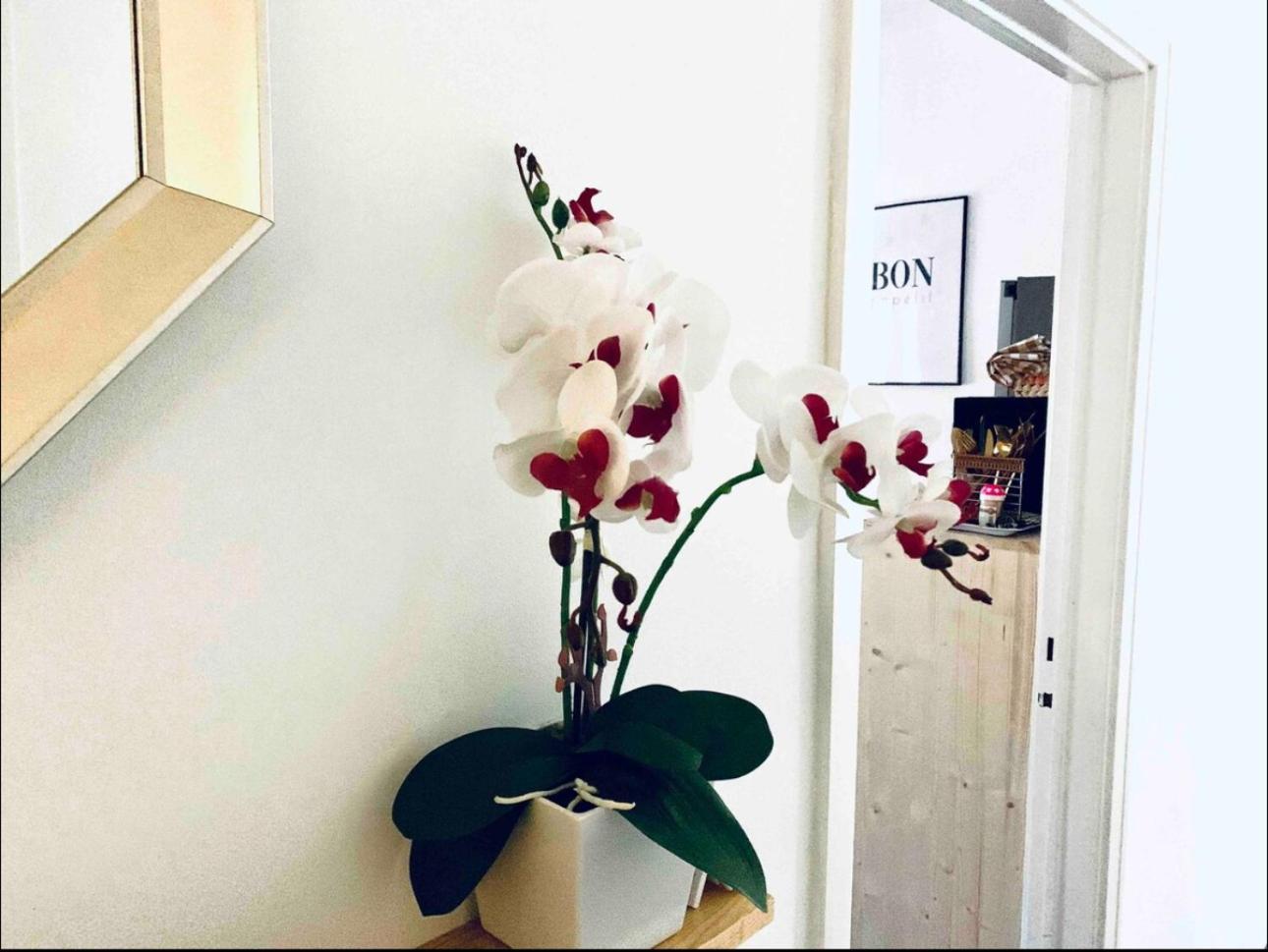 Self-Check In Sunny & Charming Apt コインブラ エクステリア 写真