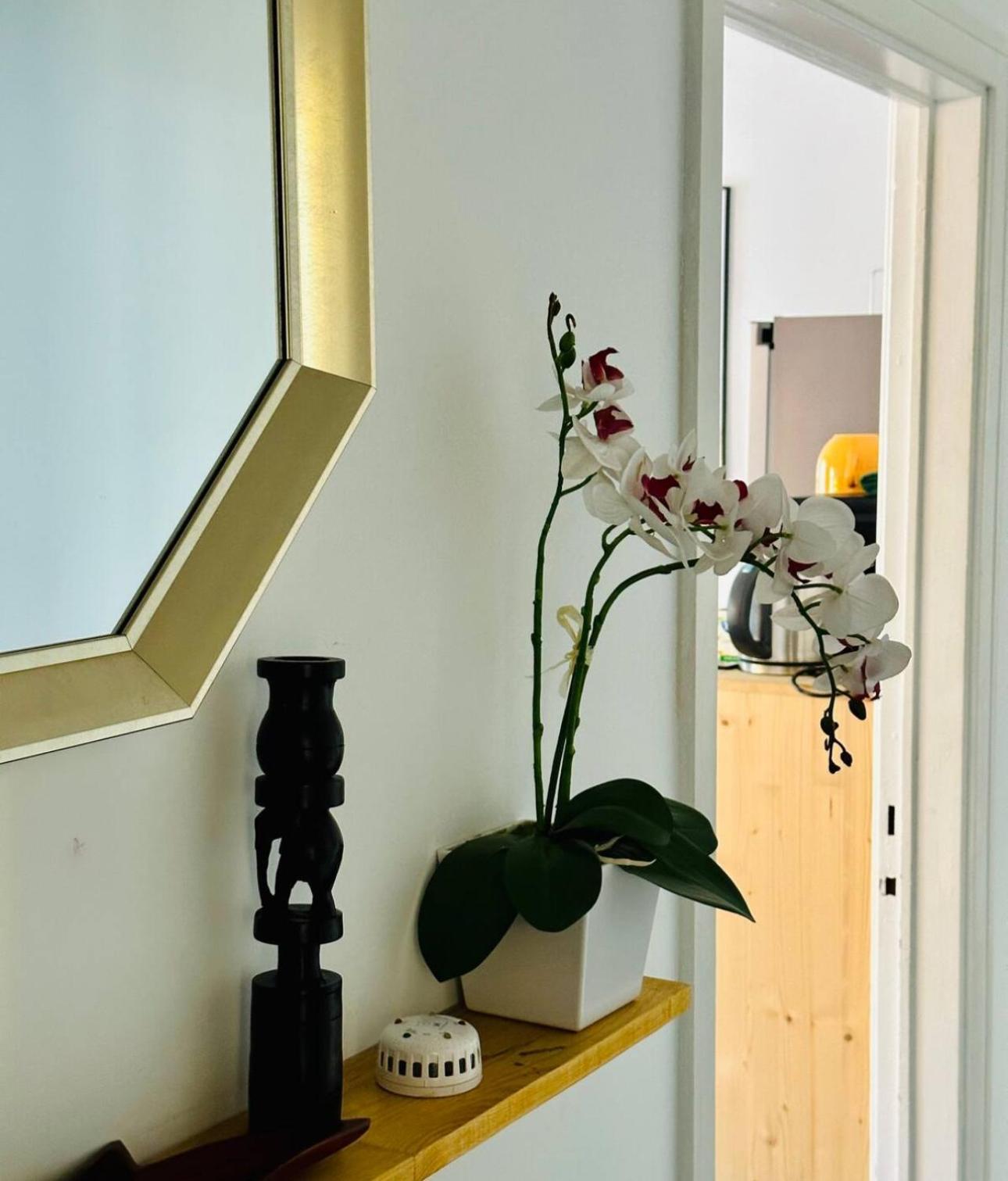 Self-Check In Sunny & Charming Apt コインブラ エクステリア 写真